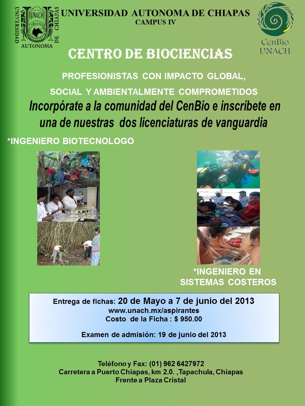 convocatoria a maestria